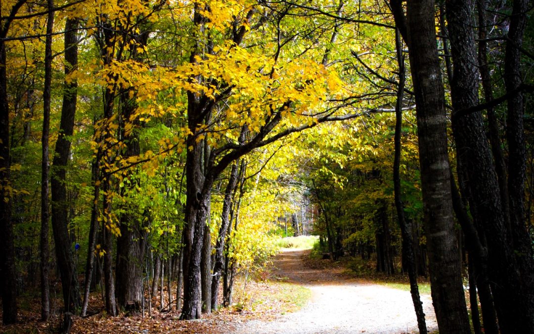 Fall = New Beginnings